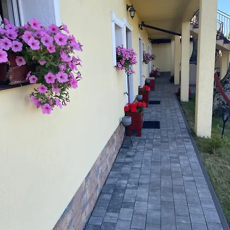 Pod Szumiacym Debem Gąski