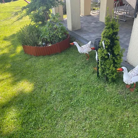 Séjour chez l'habitant Pod Szumiacym Debem Gąski
