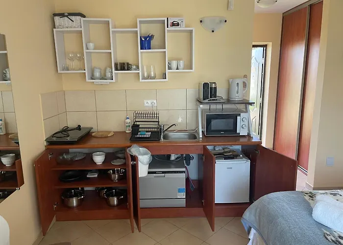 Pod Szumiacym Debem Проживание в семье Гонски