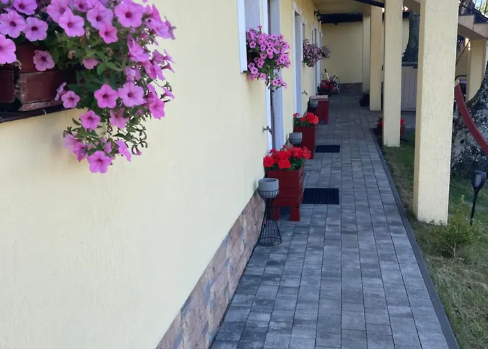 Pod Szumiacym Debem Гонски