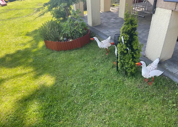 Проживание в семье Pod Szumiacym Debem Гонски